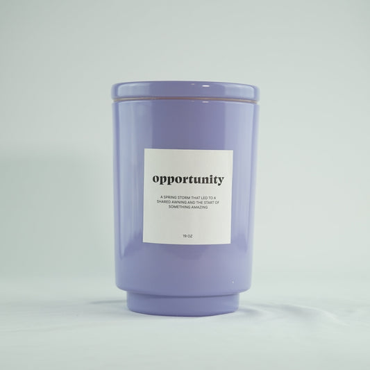 OPPORTUNITY - Sunlit Citron Jar Candle 19 Oz [Purple]