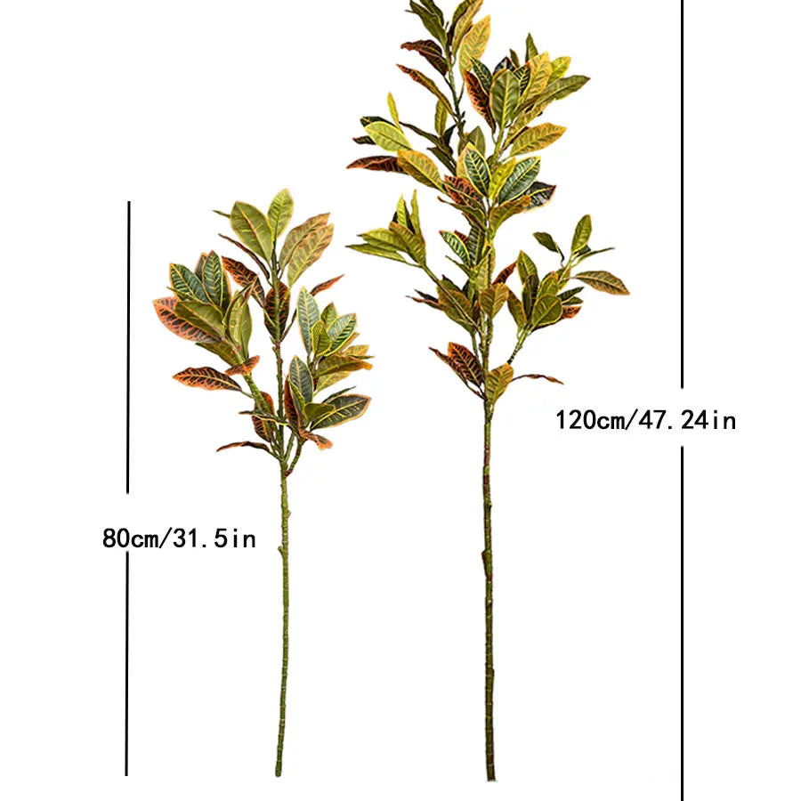 Dlight Decor Codiaeum Ficus Tree for Tropical Indoor Floor Decor