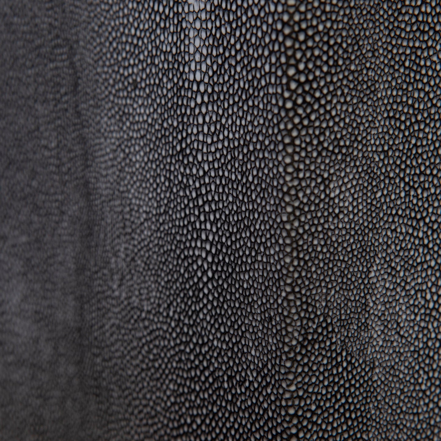 Lavano Table Lamp with Shade